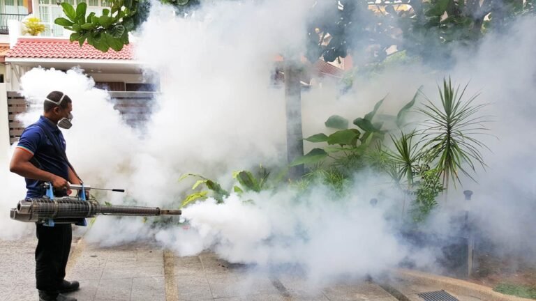 How Fumigation Services Prevent Widespread Pest Problems in Houston Area Homes