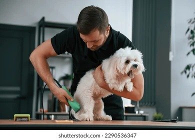 Successful Pet Grooming Business